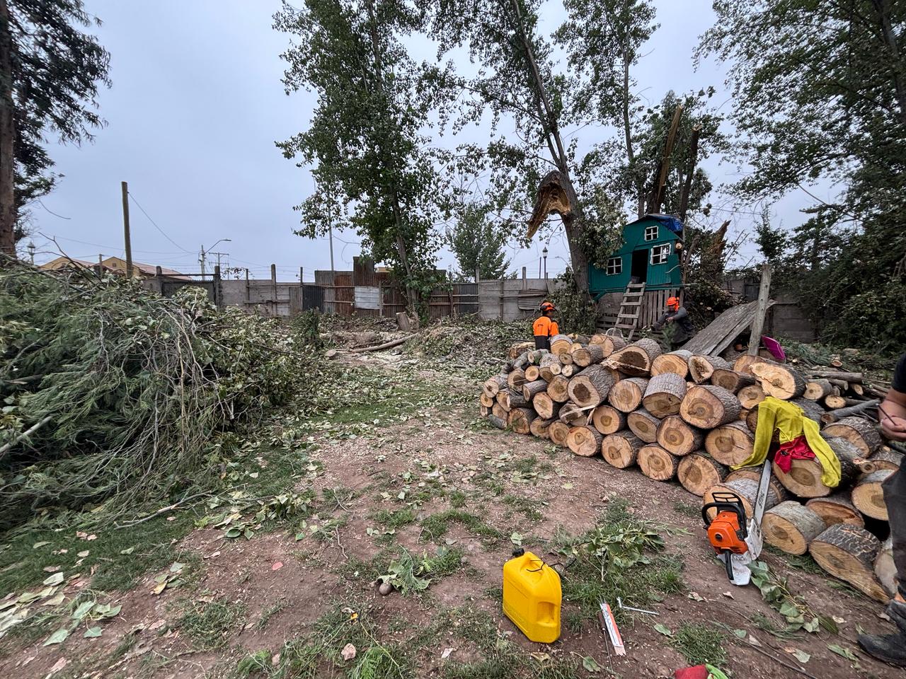 🌲 Trozado de Árboles Intervenidos – Corte y Manejo Profesional de Troncos