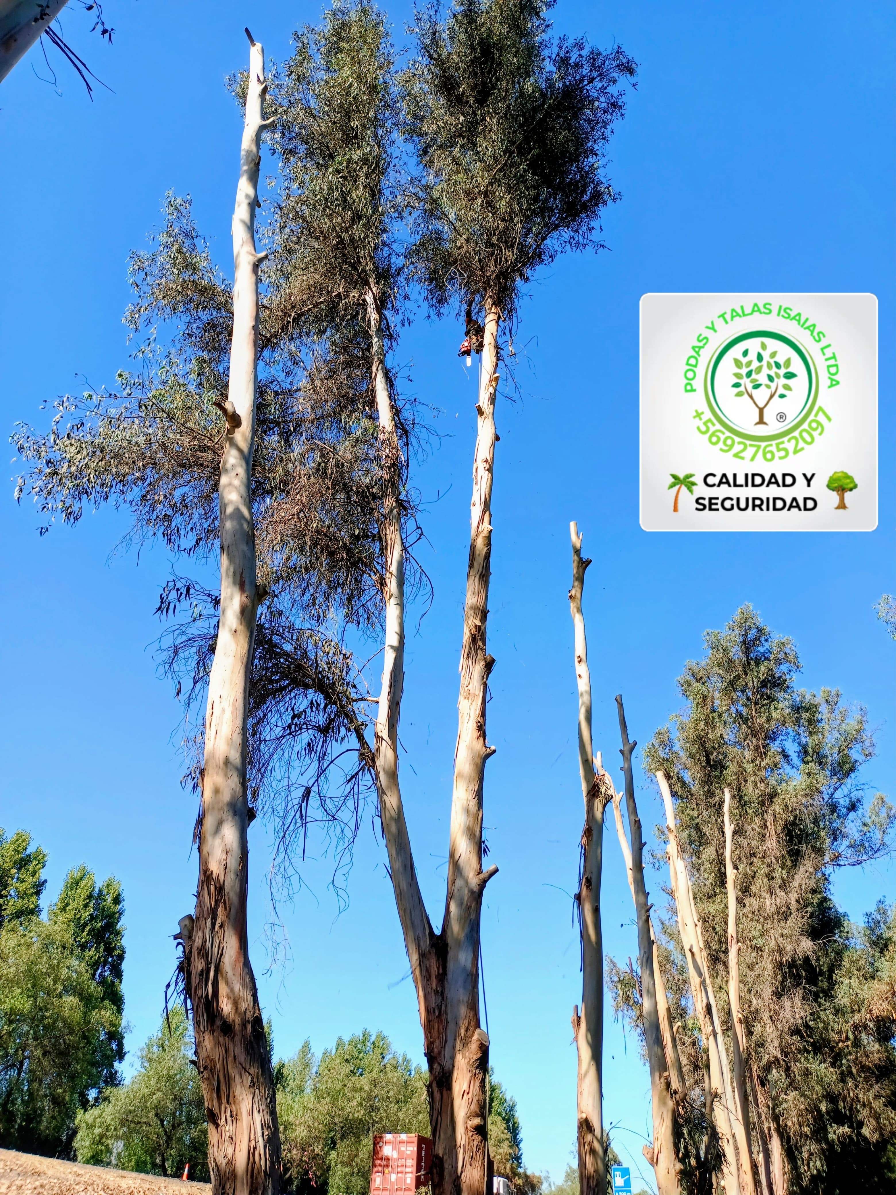 AUTOPISTA DEL SOL RUTA 78